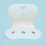 Back Support Chair (Premium) - Image 3