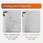 ASHILE Wall Facing Roller Paint – (500g) 2Pcs Combo Pack - Image 5